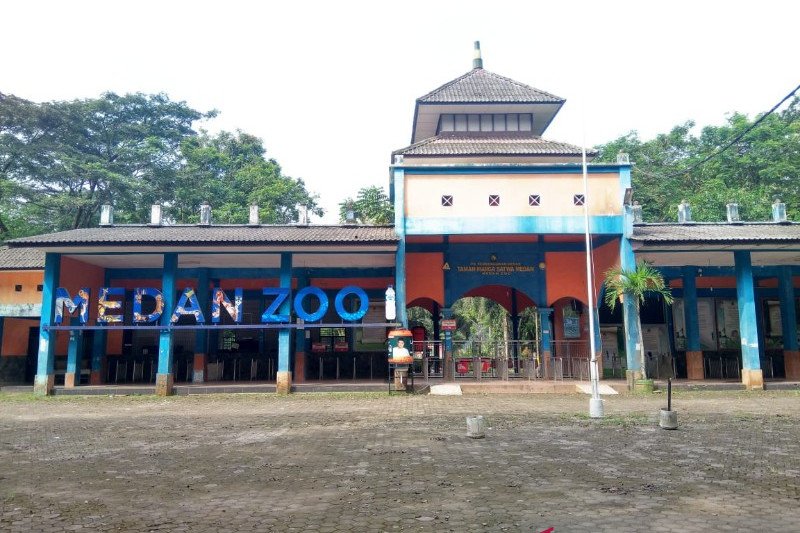 Objek Wisata Medan Zoo Kembali Dibuka pada 5 Juli Parade.id