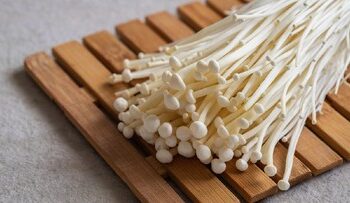 Kementan Minta Importir Musnahkan Jamur Enoki Sebab Berbahaya