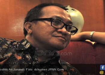 Bendera PDIP Dibakar, Ari: Pintu Masuk Upaya Menjatuhkan Jokowi