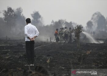 Jokowi Perintahkan Pencegahan Karhutla Manfaatkan Teknologi