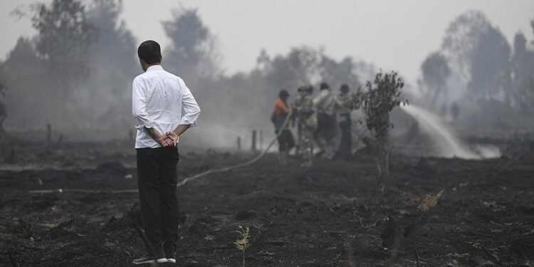 Jokowi Perintahkan Pencegahan Karhutla Manfaatkan Teknologi