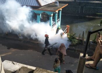 Kemenkes: Lakukan Pemberantasan Sarang Nyamuk untuk Cegah DBD