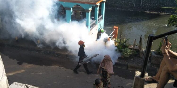 Kemenkes: Lakukan Pemberantasan Sarang Nyamuk untuk Cegah DBD