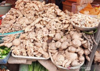 Ekspor Rempah Melonjak di Tengah Pandemi Global