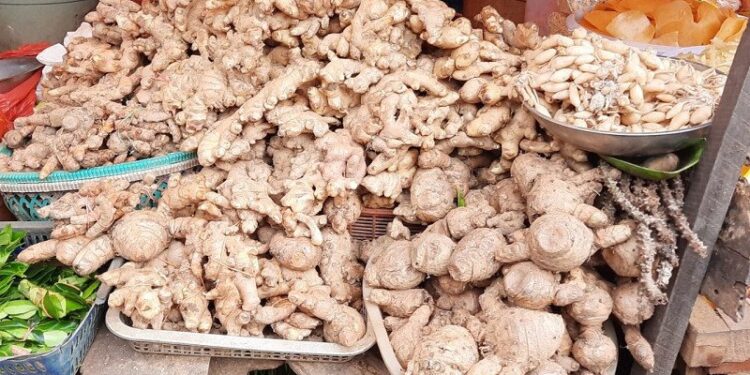 Ekspor Rempah Melonjak di Tengah Pandemi Global