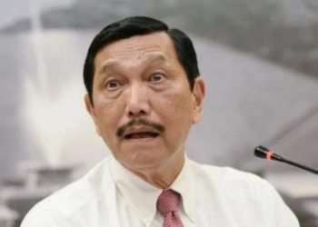 Jubir Ralat Tantangan Luhut, Pakar Hukum: Nyalinya Kecil