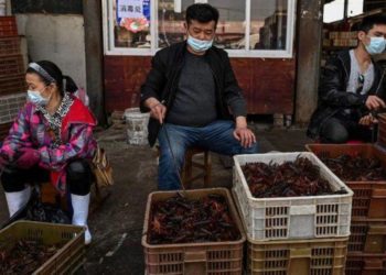 Pemkot Beijing Tutup 45 Pasar Karena Pedagang Positif Covid