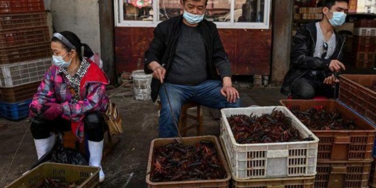 Pemkot Beijing Tutup 45 Pasar Karena Pedagang Positif Covid