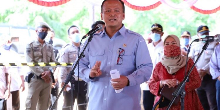 Menteri Edhy Sebut Hapus Larangan Cantrang Bisa Serap Tenaga Kerja