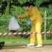 WHO: Ebola di RD Kongo Kini Mencapai 60 Kasus