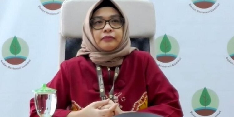 BRG: Pembukaan Lahan tanpa Bakar Solusi Cegah Karhutla