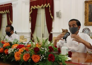 Jokowi Ungkap Alasan Menhan Pimpin Lumbung Pangan Kalteng