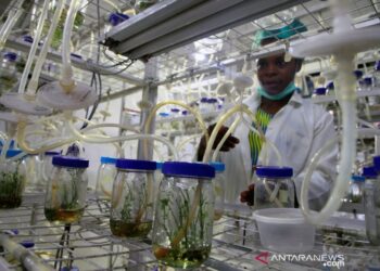 Menlu Nigeria Positif Covid-19