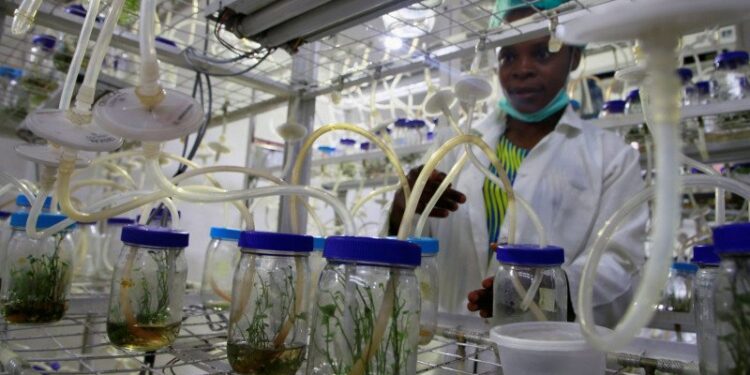 Menlu Nigeria Positif Covid-19