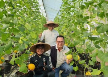 Muhaimin: Perkuat Sektor Pertanian Senjata Hadapi Krisis Ekonomi