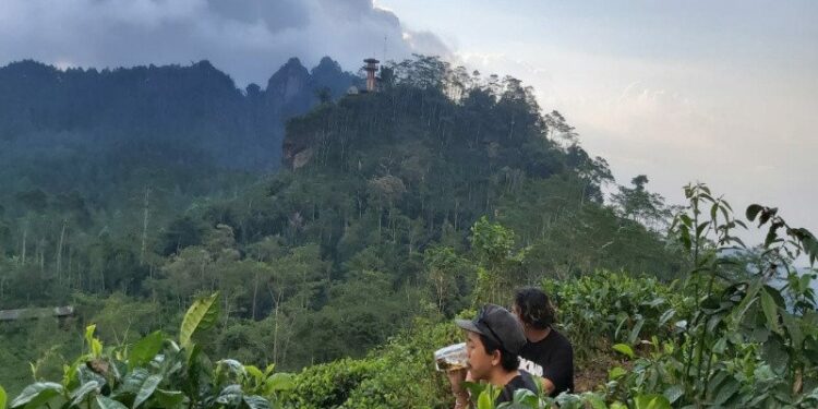 Terapkan Protokol Kesehatan, Kulon Progo Siap Buka Objek Wisata