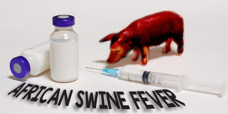 Kementan Paparkan Strategi Pencegahan Masuknya Flu Babi ke Indonesia