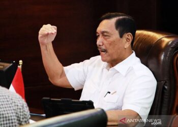 Luhut Minta Pejabat Pusat dan Daerah Beli Produk Dalam Negeri