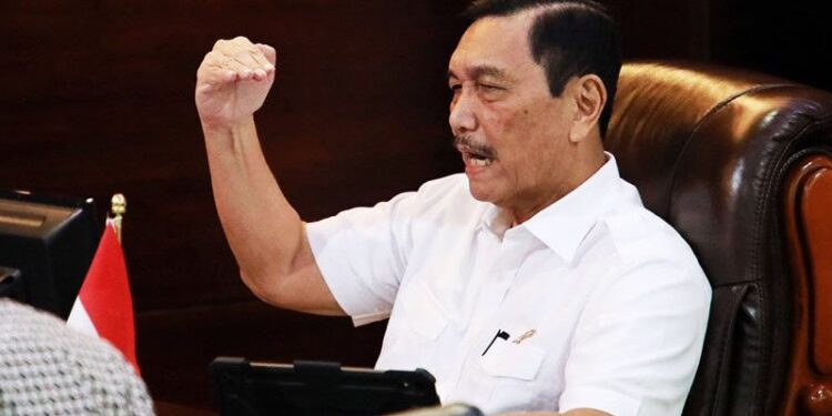 Luhut Minta Pejabat Pusat dan Daerah Beli Produk Dalam Negeri