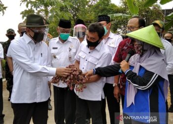 Menkop Targetkan Juli 2020 Dana Pemulihan Ekonomi Tersalur 50 Persen