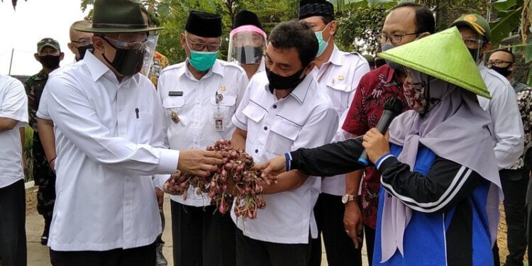 Menkop Targetkan Juli 2020 Dana Pemulihan Ekonomi Tersalur 50 Persen