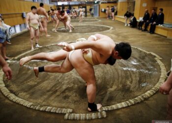 Turnamen Sumo akan Kembali Dihadiri Penonton