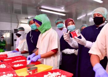 Menkop: Perkuat Rantai Pasokan Guna Tingkatkan Industri di Lampung