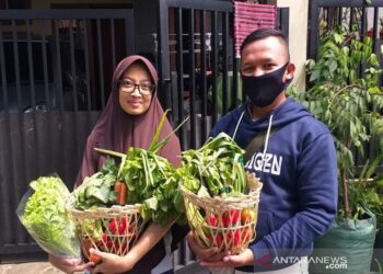 HIPMI Dorong Pengusaha Muda Berkecimpung di Bisnis Pertanian