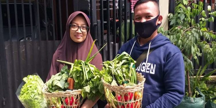 HIPMI Dorong Pengusaha Muda Berkecimpung di Bisnis Pertanian