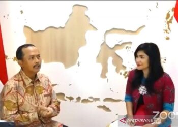 Investasi Singapura di Indonesia Naik pada Kuartal I dan II