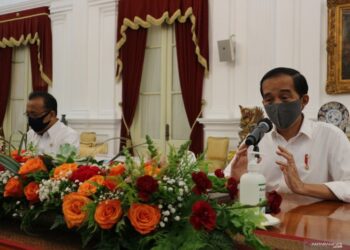 Presiden Jokowi Tegaskan Rencana Perampingan 18 Lembaga Pemerintah