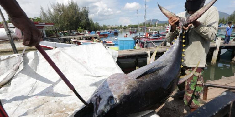 Menteri Edhy Ingatkan Persyaratan Ekspor ke AS Semakin Ketat