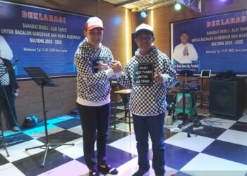 Artis Aldi Taher Maju Pilkada Sulteng 2020