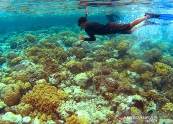Wakatobi Masuk Nominasi Anugerah Pesona Indonesia 2020