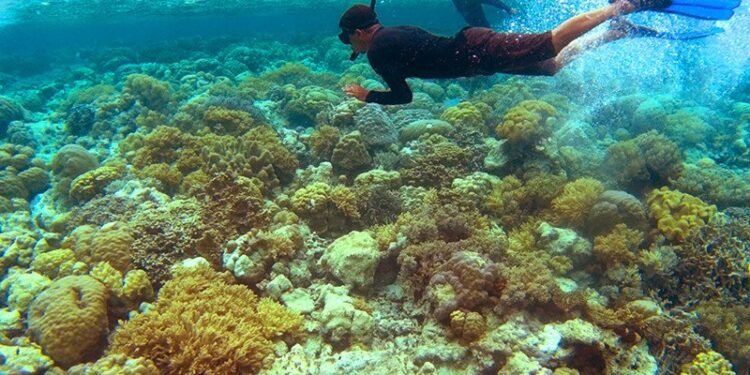 Wakatobi Masuk Nominasi Anugerah Pesona Indonesia 2020