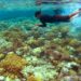 Wakatobi Masuk Nominasi Anugerah Pesona Indonesia 2020