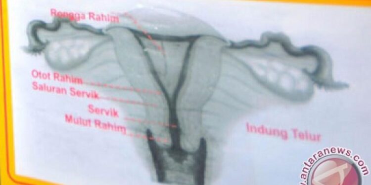 Dokter di India Berhasil Mengangkat Tumor Terbesar di Dunia