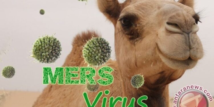 Kenya: Jenis Virus Corona Baru Sebabkan Ratusan Unta Mati