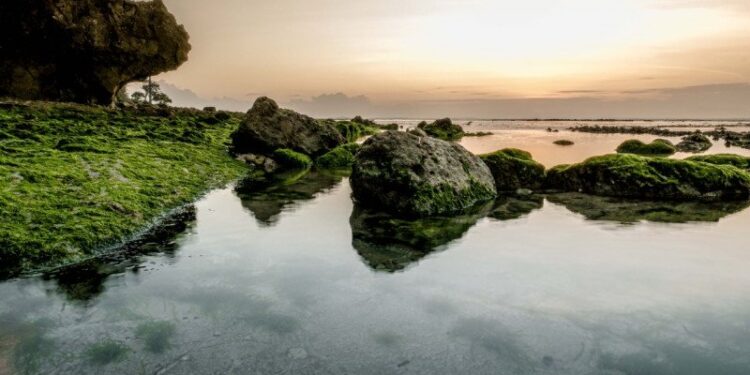 Pesona G-Land di Ujung Selatan Banyuwangi