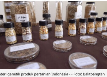 Indonesia Miliki Sumber Daya Genetik Pertanian Melimpah