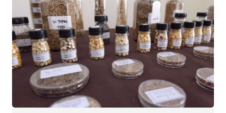 Indonesia Miliki Sumber Daya Genetik Pertanian Melimpah