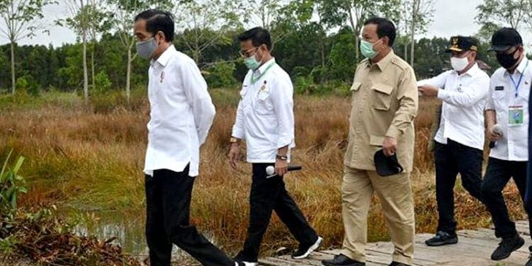 Prabowo Targetkan 1,4 Juta Hektare Lahan Singkong pada Akhir 2025