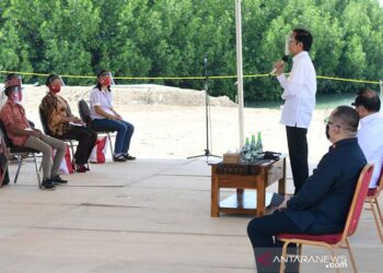 Presiden Jokowi Ingatkan Bantuan Modal Kerja Jangan untuk Beli Ponsel