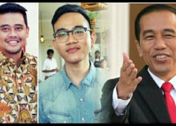 Damn! I Love Indonesia: Bapak Presiden, Anak dan Mantu Wali Kota