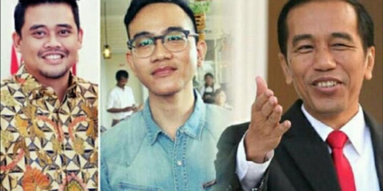 Damn! I Love Indonesia: Bapak Presiden, Anak dan Mantu Wali Kota