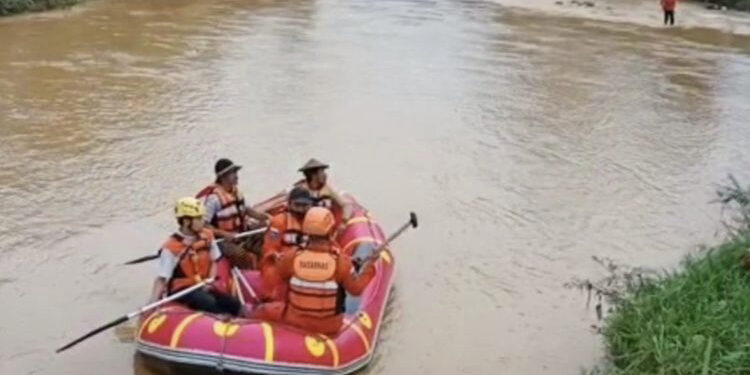 Tambang Emas Liar di TNGHS Longsor, Empat Gurandil Tewas