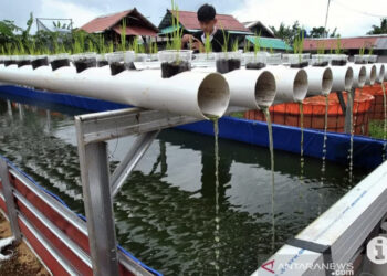 Kampung Tematik Perikanan Budidaya Jadi Solusi Ketahananan Pangan