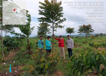 Menteri LHK Ikut Memonitor Pemulihan RHL