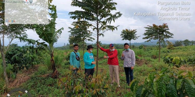 Menteri LHK Ikut Memonitor Pemulihan RHL