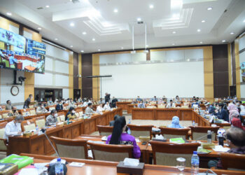 Menteri LHK Raker dengan Komisi IV DPR, Bahas Program Ini